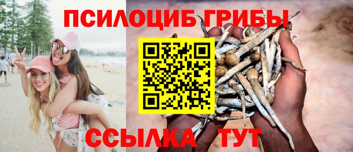 Псилоцибиновые грибы MAGIC MUSHROOMS Тольятти